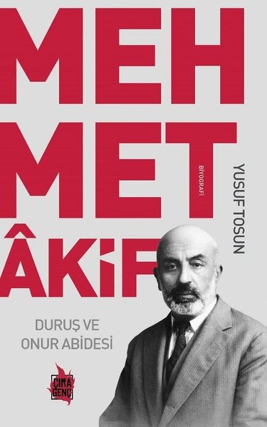 mehmet akif ersoy, biyografi, kitap, duruş ve onur abidesi,