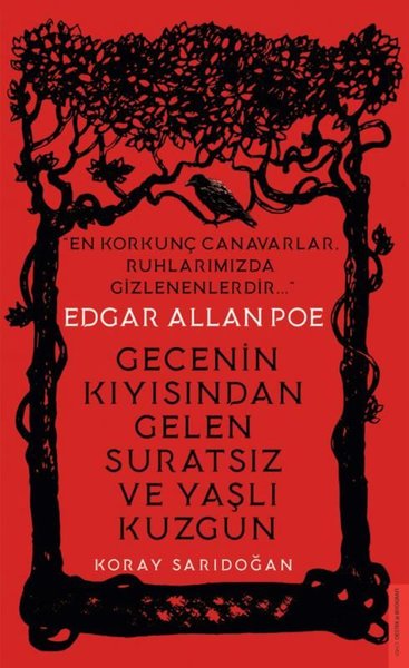 edgar allan poe, biyografi, kitap,