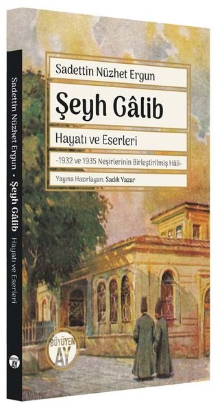 şeyh galib, biyografi, kitap,