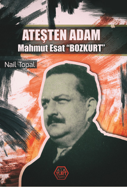 Mahmut Esat Bozkurt, biyografi, kitap,