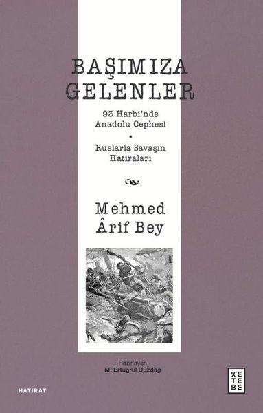 Mehmed Arif Bey, biyografi,